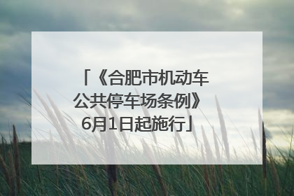 《合肥市机动车公共停车场条例》6月1日起施行