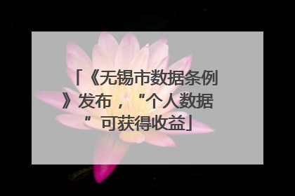 《无锡市数据条例》发布，“个人数据”可获得收益