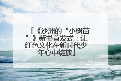 《沙洲的“小树苗”》新书首发式：让红色文化在新时代少年心中绽放