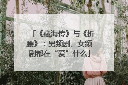 《藏海传》与《折腰》：男频剧、女频剧都在“爱”什么