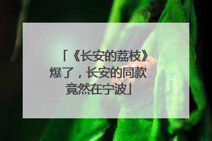 《长安的荔枝》爆了，长安的同款竟然在宁波