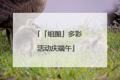 「组图」多彩活动庆端午
