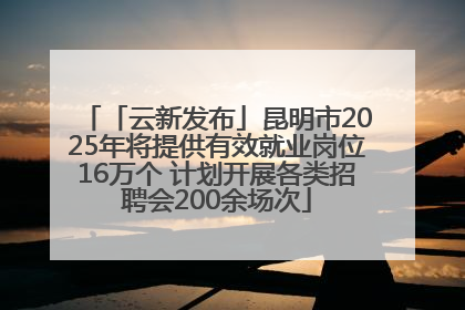 「云新发布」昆明市2025年将提供有效就业岗位16万个 计划开展各类招聘会200余场次