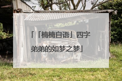 「楠楠自语」四字弟弟的如梦之梦