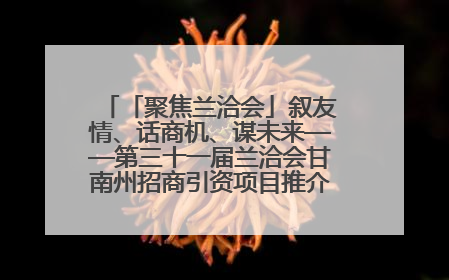 「聚焦兰洽会」叙友情、话商机、谋未来——第三十一届兰洽会甘南州招商引资项目推介会活动侧记