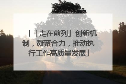 「走在前列」创新机制，凝聚合力，推动执行工作高质量发展