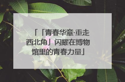 「青春华章·重走西北角」闪耀在博物馆里的青春力量