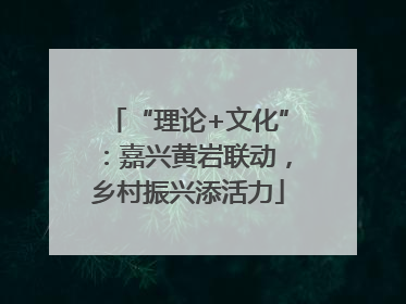 “理论+文化”：嘉兴黄岩联动，乡村振兴添活力