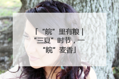 “皖”里有粮｜“三夏”时节，一“皖”麦香