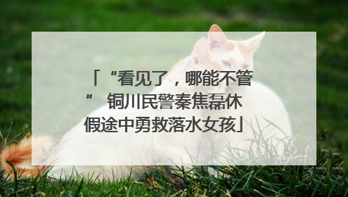 “看见了，哪能不管” 铜川民警秦焦磊休假途中勇救落水女孩