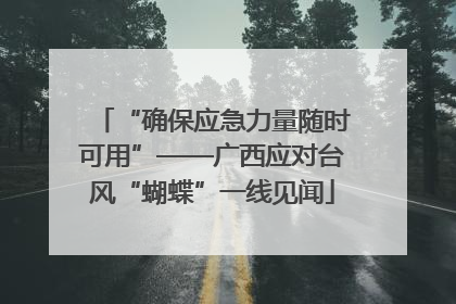 “确保应急力量随时可用”——广西应对台风“蝴蝶”一线见闻