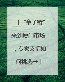 “童子蟹”来到厦门市场，专家支招如何挑选→