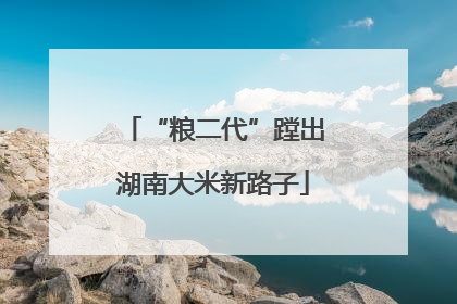 “粮二代”蹚出湖南大米新路子