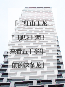 “红山玉龙”现身上海！来看五千多年前的这条龙