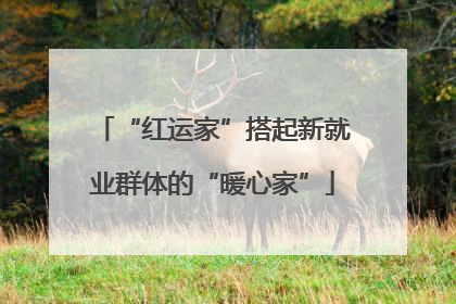 “红运家”搭起新就业群体的“暖心家”