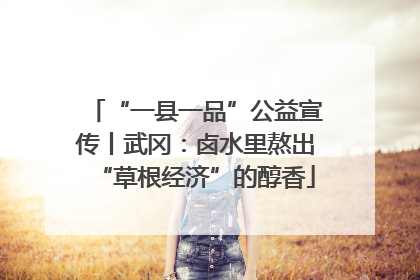 “一县一品”公益宣传丨武冈：卤水里熬出“草根经济”的醇香