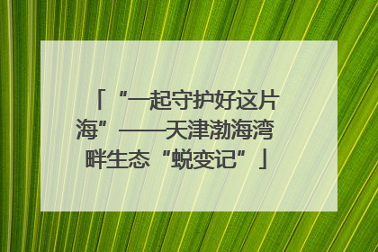 “一起守护好这片海”——天津渤海湾畔生态“蜕变记”