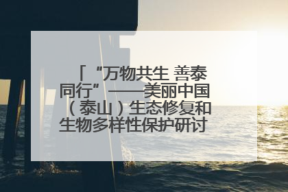 “万物共生 善泰同行”——美丽中国（泰山）生态修复和生物多样性保护研讨会成功举办