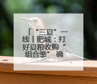 “三夏”一线丨肥城：打好夏粮收购“组合拳” 确保粮食颗粒归仓