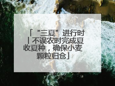 “三夏”进行时丨不误农时完成夏收夏种，确保小麦颗粒归仓