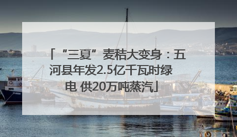“三夏”麦秸大变身：五河县年发2.5亿千瓦时绿电 供20万吨蒸汽
