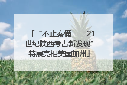 “不止秦俑——21世纪陕西考古新发现”特展亮相美国加州