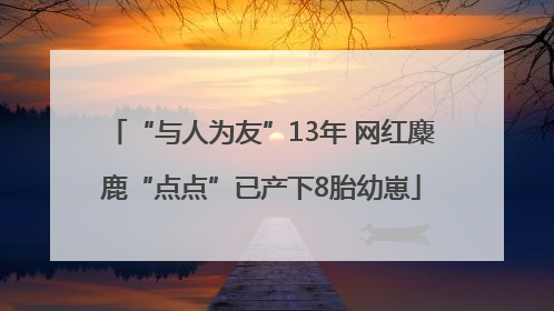 “与人为友”13年 网红麋鹿“点点”已产下8胎幼崽