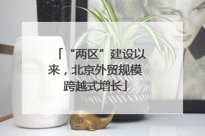 “两区”建设以来，北京外贸规模跨越式增长