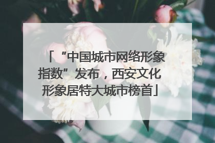 “中国城市网络形象指数”发布，西安文化形象居特大城市榜首