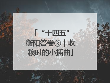 “十四五”·衡阳答卷③｜收粮时的小插曲