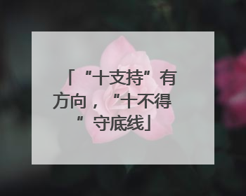 “十支持”有方向，“十不得”守底线