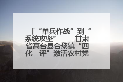 “单兵作战”到“系统攻坚”——甘肃省高台县合黎镇“四化一评”激活农村党员管理新引擎