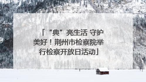 “典”亮生活 守护美好！荆州市检察院举行检察开放日活动