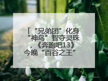 “兄弟团”化身“神鸟”智夺灵珠，《奔跑吧13》今晚“百谷之王”花落谁家？