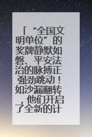 “全国文明单位”的奖牌静默如磐、平安法治的脉搏正强劲跳动！如沙漏翻转，他们开启了全新的计时