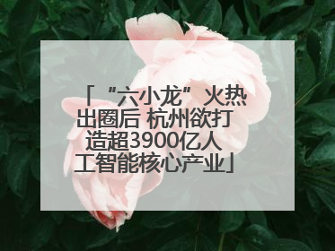“六小龙”火热出圈后 杭州欲打造超3900亿人工智能核心产业