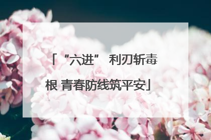 “六进” 利刃斩毒根 青春防线筑平安