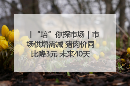 “培”你探市场｜市场供增需减 猪肉价同比降3元 未来40天便宜猪肉敞开吃