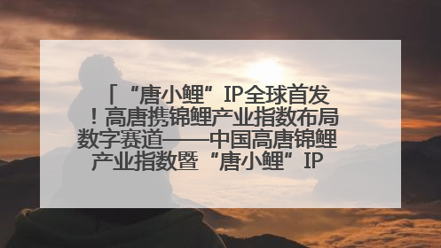 “唐小鲤”IP全球首发！高唐携锦鲤产业指数布局数字赛道——中国高唐锦鲤产业指数暨“唐小鲤”IP全球首发仪式在杭州举行