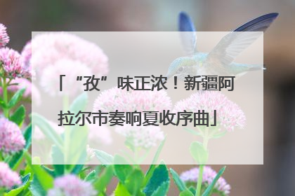 “孜”味正浓！新疆阿拉尔市奏响夏收序曲