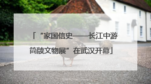“家国信史——长江中游简牍文物展”在武汉开幕