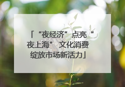 “夜经济”点亮“夜上海” 文化消费绽放市场新活力
