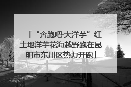 “奔跑吧·大洋芋”红土地洋芋花海越野跑在昆明市东川区热力开跑