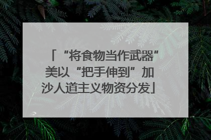 “将食物当作武器” 美以“把手伸到”加沙人道主义物资分发