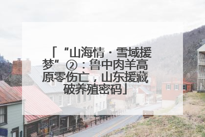 “山海情・雪域援梦”②：鲁中肉羊高原零伤亡，山东援藏破养殖密码