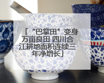 “巴掌田”变身万亩良田 四川合江耕地面积连续三年净增长
