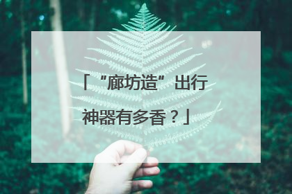 “廊坊造”出行神器有多香？