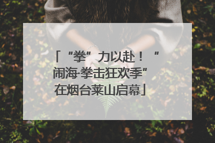 “拳”力以赴！“闹海·拳击狂欢季”在烟台莱山启幕