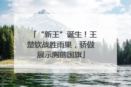 “新王”诞生！王楚钦战胜雨果，骄傲展示胸前国旗