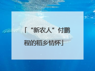 “新农人”付鹏程的稻乡情怀